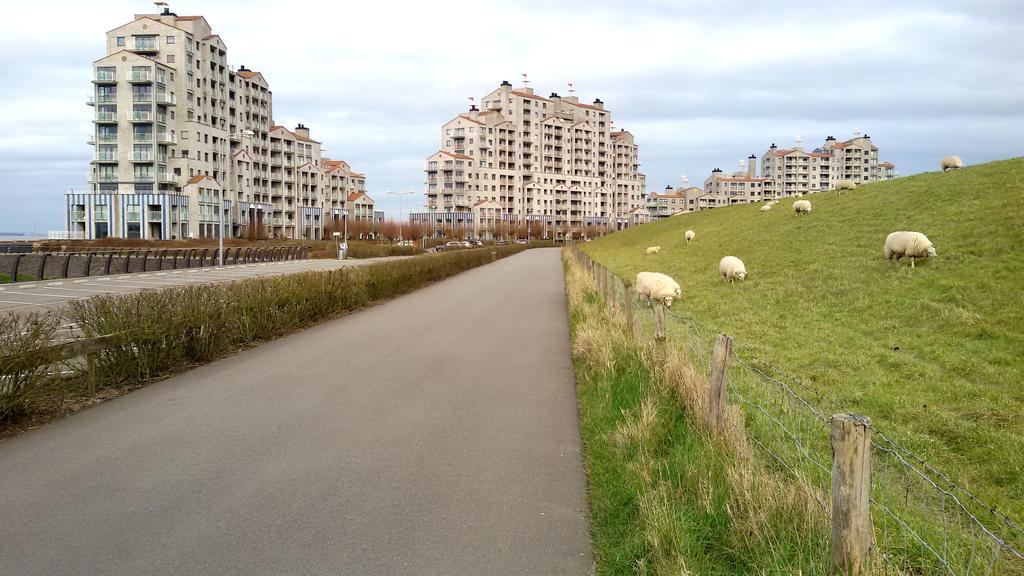 Port Scaldis Apartment ブレスケンス エクステリア 写真